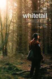 Whitetail